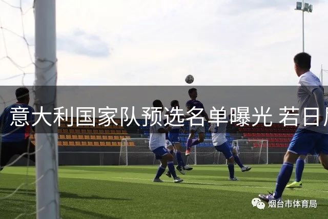 意大利国家队预选名单曝光 若日尼奥有望复出