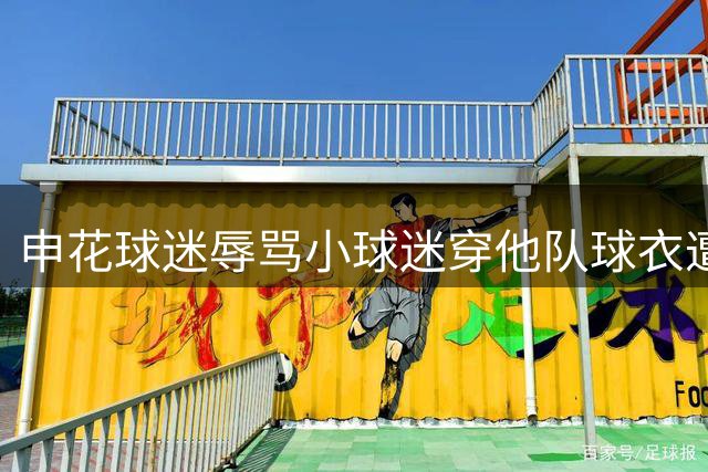 申花球迷辱骂小球迷穿他队球衣遭行政拘留